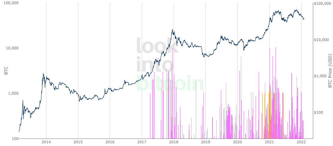 Bitcoin Whale Shadows