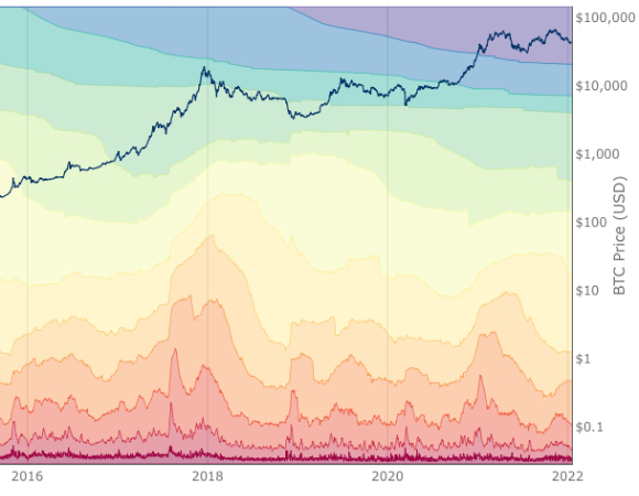 HODL Waves screenshot